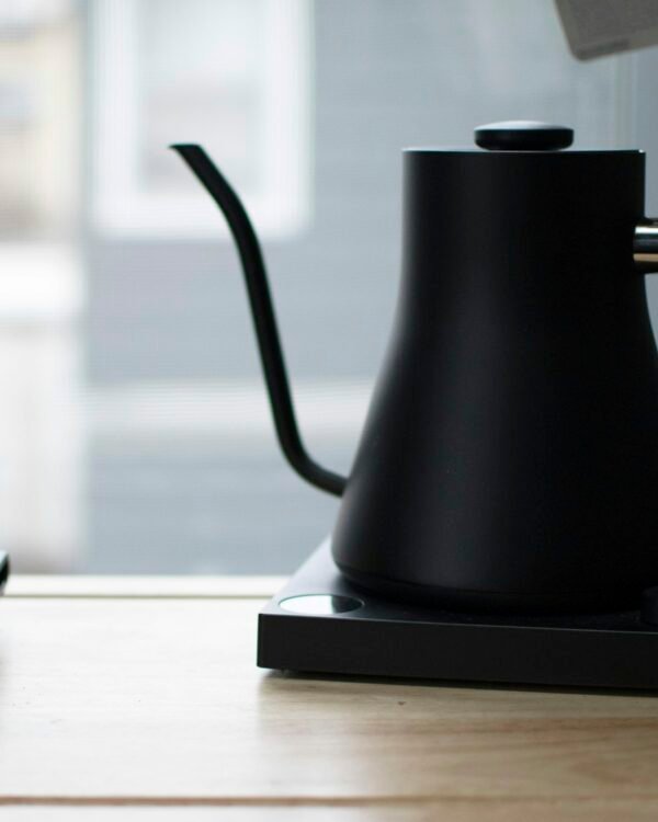 Velluto Pour Electric Gooseneck Kettle
